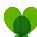 건강 습관 카테고리 아이콘: 잎사귀와 심장